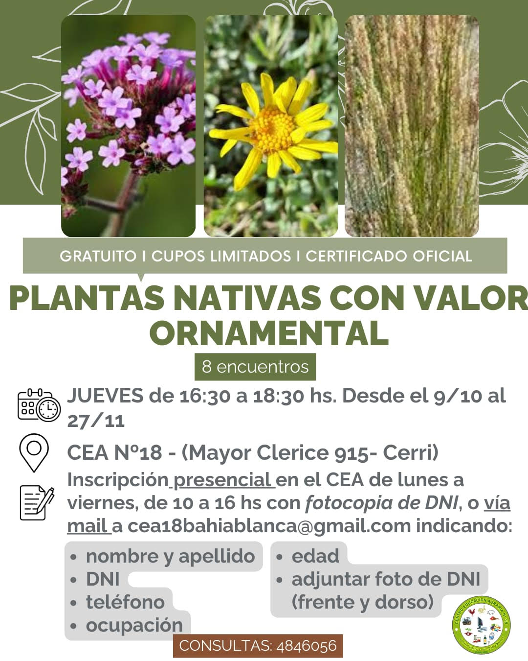 fotos-postulaciones/1758631678_PLANTAS NATIVAS.jpg